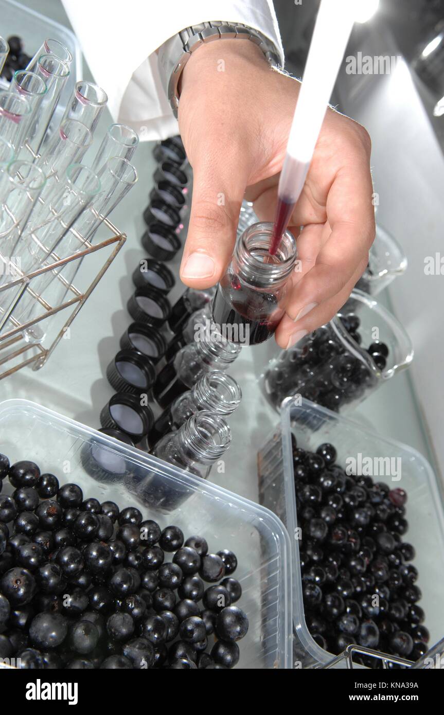 Wine quality control testing in modern laboratory, France Stock Photo Alamy