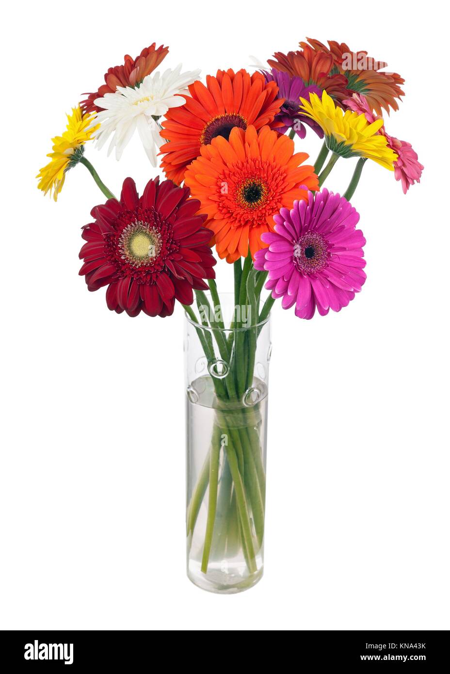 Gerbera flowers in glass vase hi-res stock photography and images - Alamy