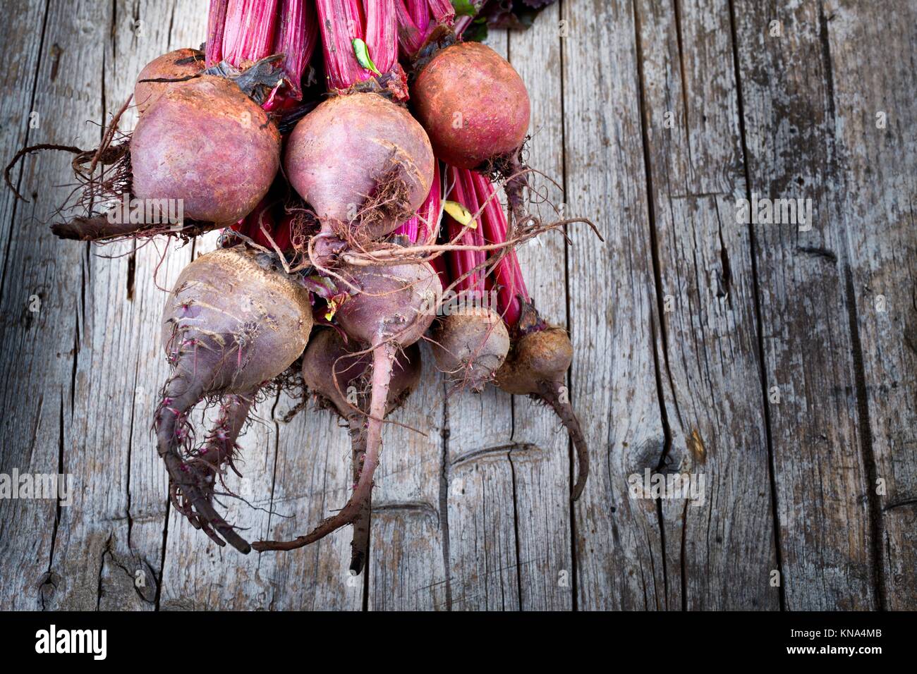 Fresh organic beets just picked from the garden on an old wooden table. Stock Photo