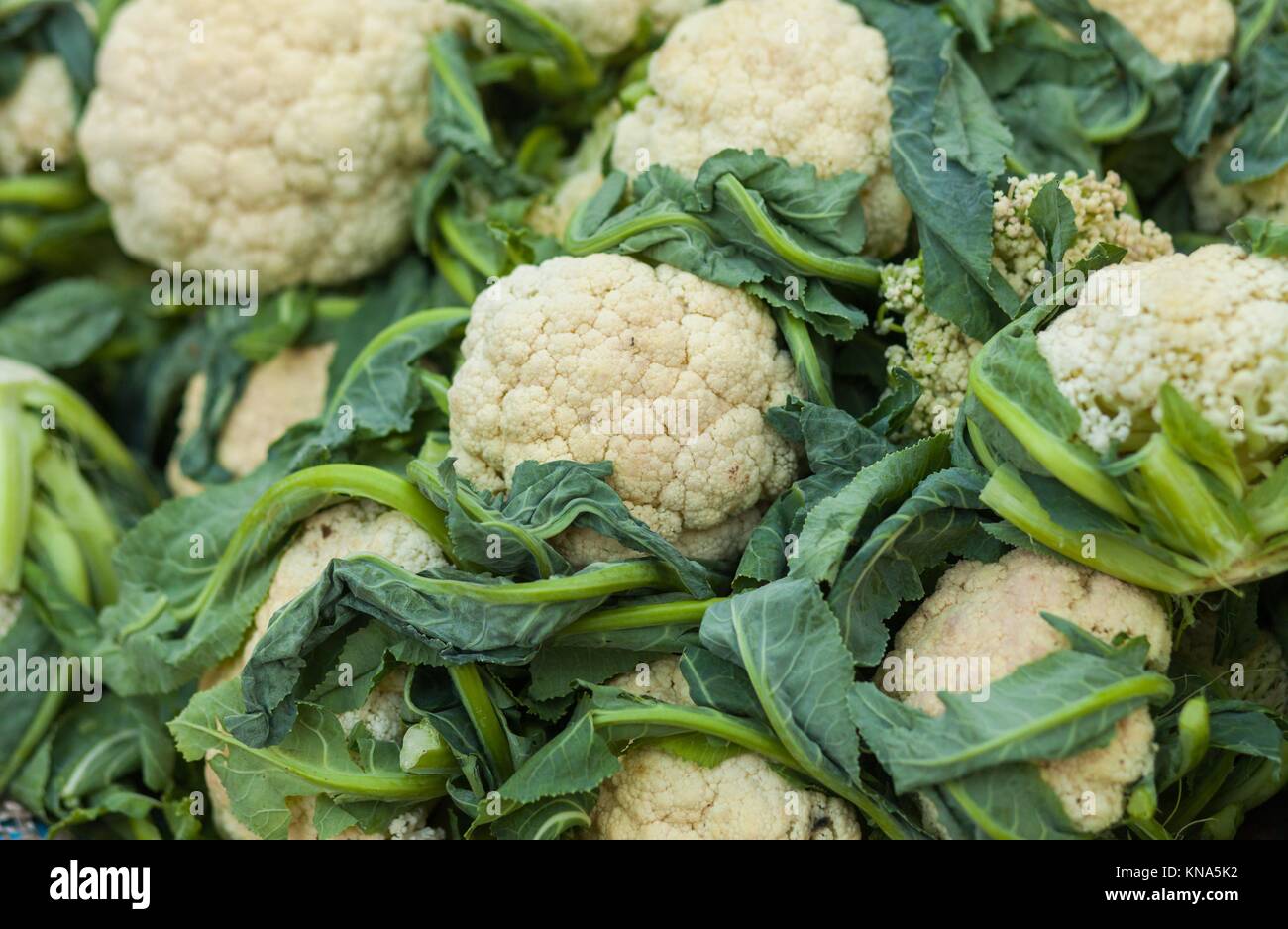 Fresh cauliflower (Brassica oleracea) at market in Nepal Stock Photo