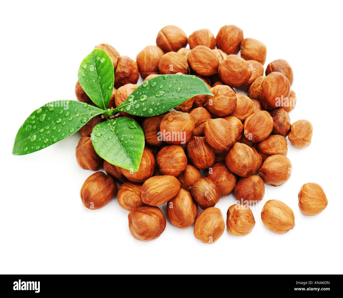 Heap of fresh shelled hazelnuts with green leaves isolated on white background. Closeup. Stock Photo