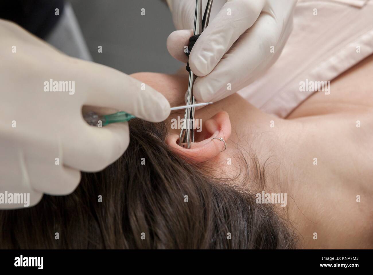 Professional making a piercing hole on ear with indwelling cannula method. Rook type. Gripping the ear. Stock Photo