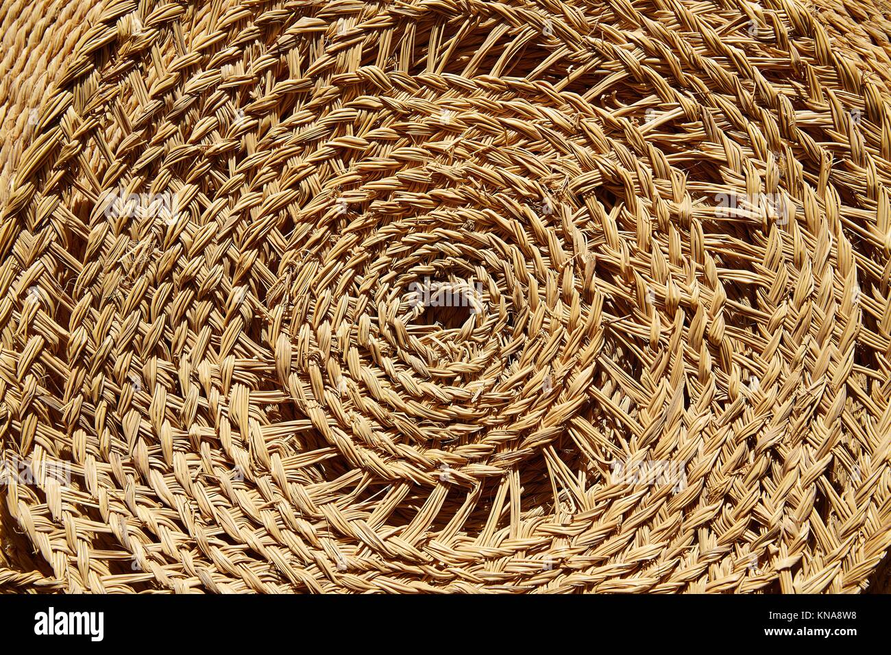Esparto halfah grass used for crafts as cords basketry and espadrilles