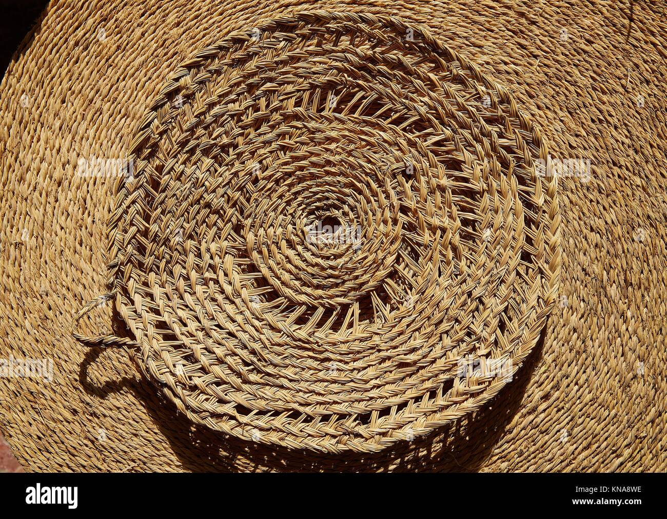 Esparto halfah grass used for crafts as cords basketry and espadrilles