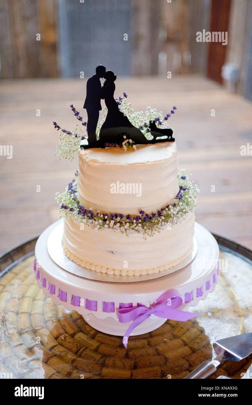 Wedding Cake Topper With The Bride Groom And Their Corgi At A