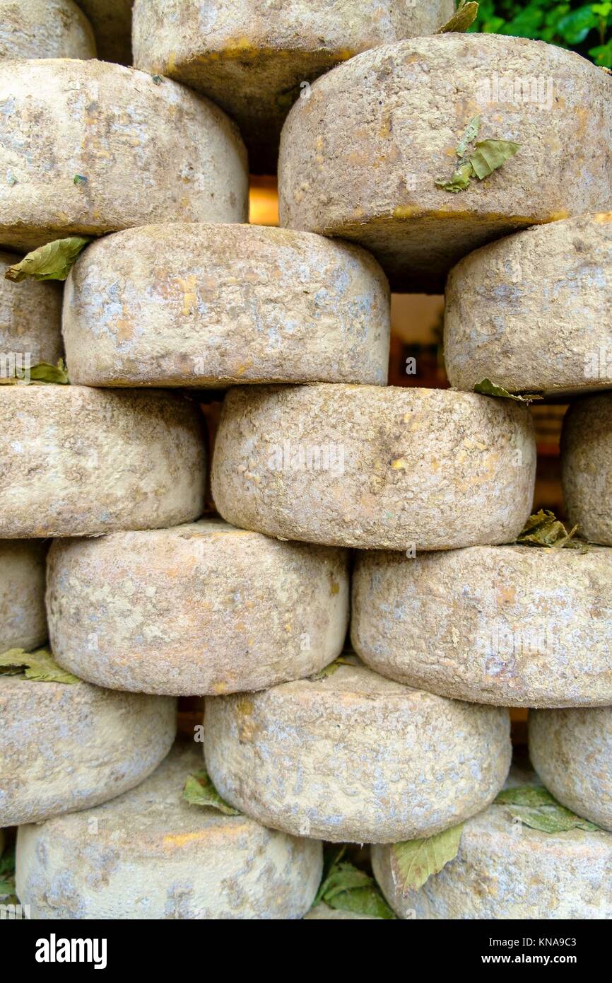 Pecorino cheese in Pienza Tuscany Italy Stock Photo Alamy