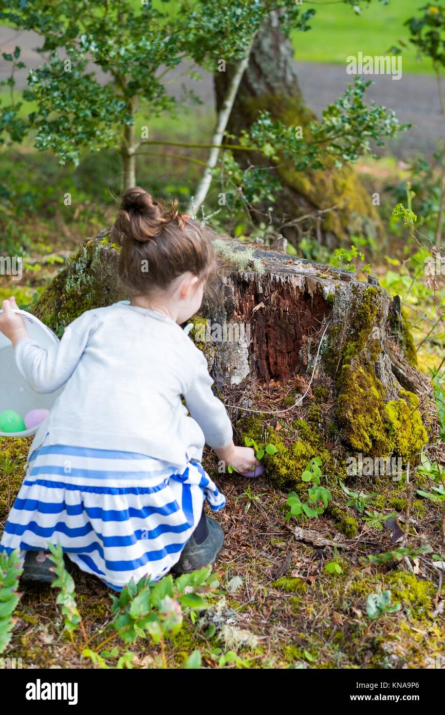 Easter egg hunt with young child hunting the eggs outdoors on a family property in Oregon. Stock Photo