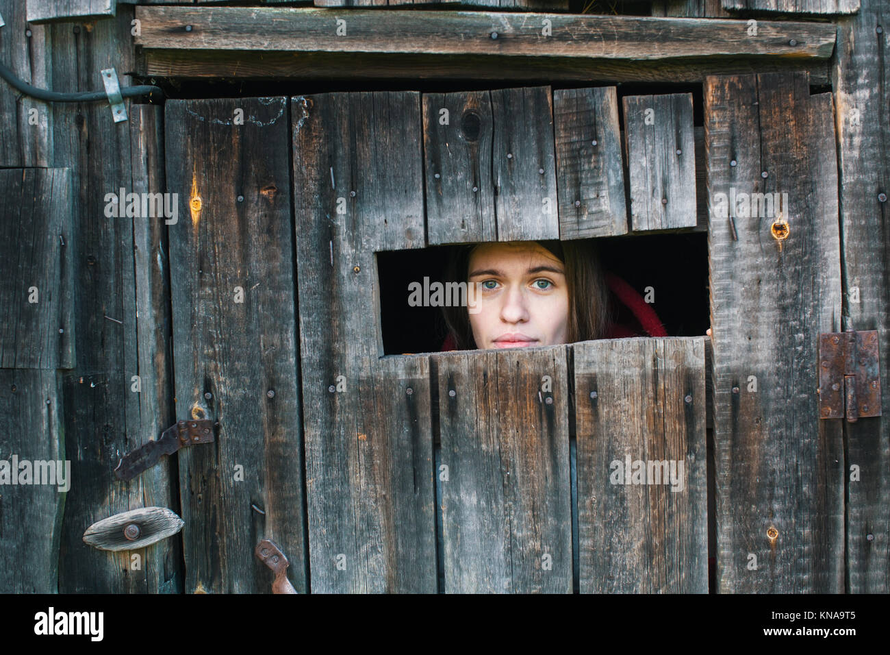 Young woman looking through the crack of a locked wooden shed Stock ...