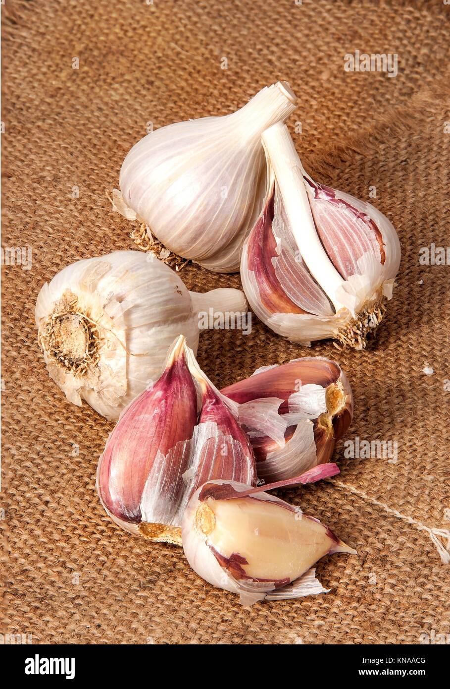 Garlic wholly and cloves scattered on sackcloth. Stock Photo