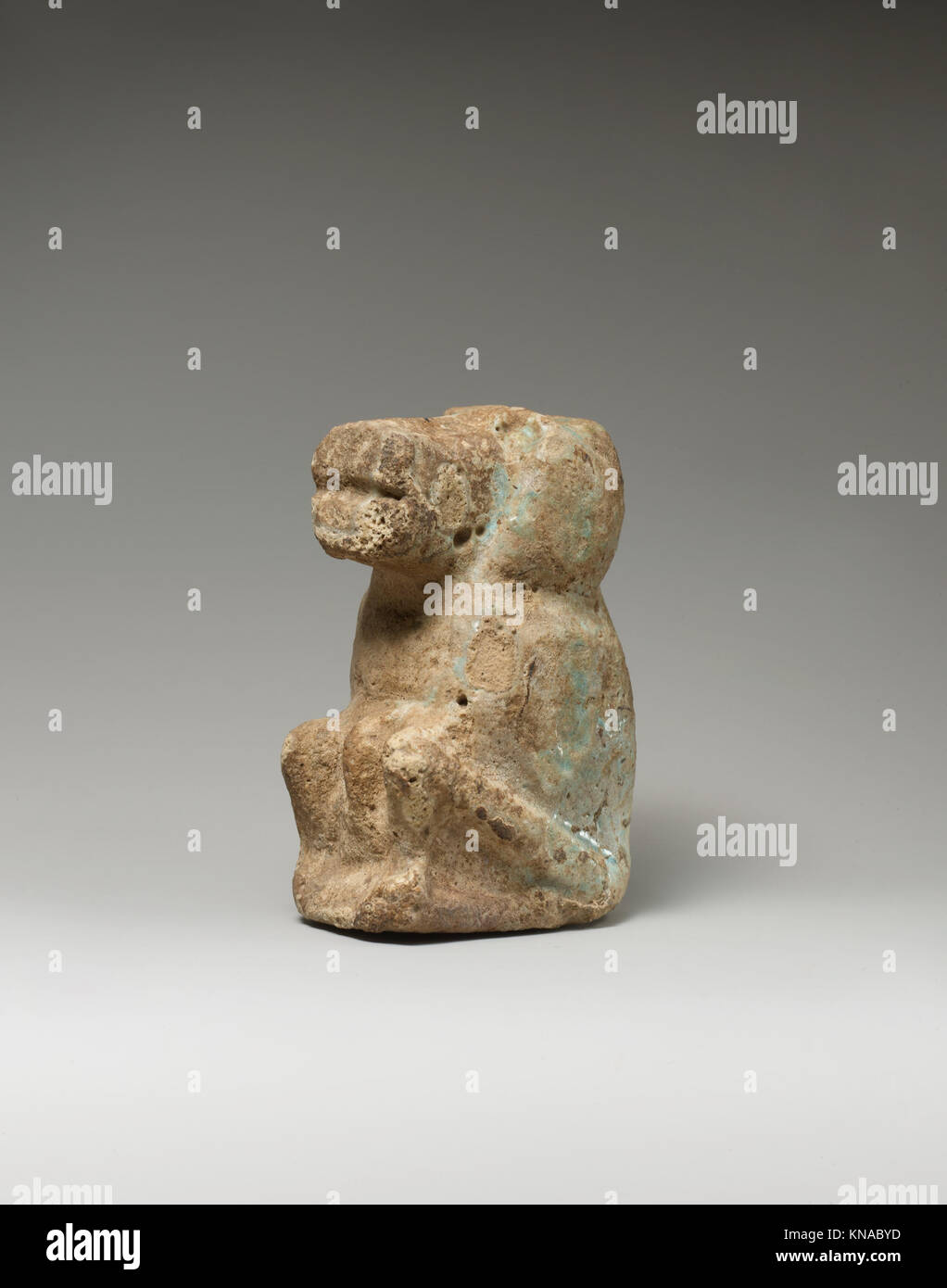 Primate physical feature hi-res stock photography and images - Alamy