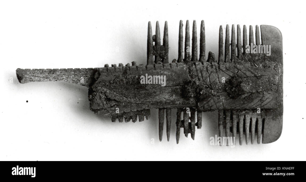Double-Sided Comb MET sf17-193-306s1 465639 Frankish, Double-Sided Comb, 7th century, Bone, iron pins, Overall: 4 x 1 3/4 x 13/16 in. (10.2 x 4.5 x 2.1 cm). The Metropolitan Museum of Art, New York. Gift of J. Pierpont Morgan, 1917 (17.193.306) Stock Photo