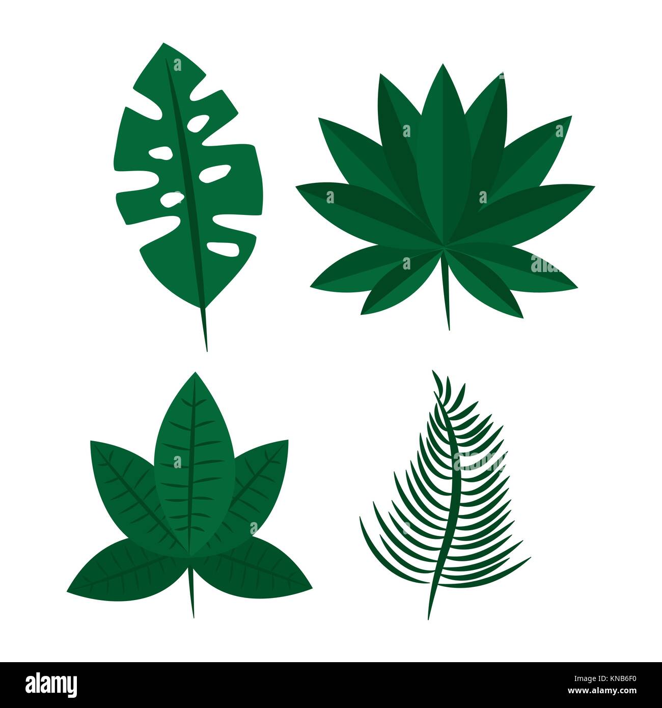 tropical leaves exotic foliage natural differents Stock Vector Image ...