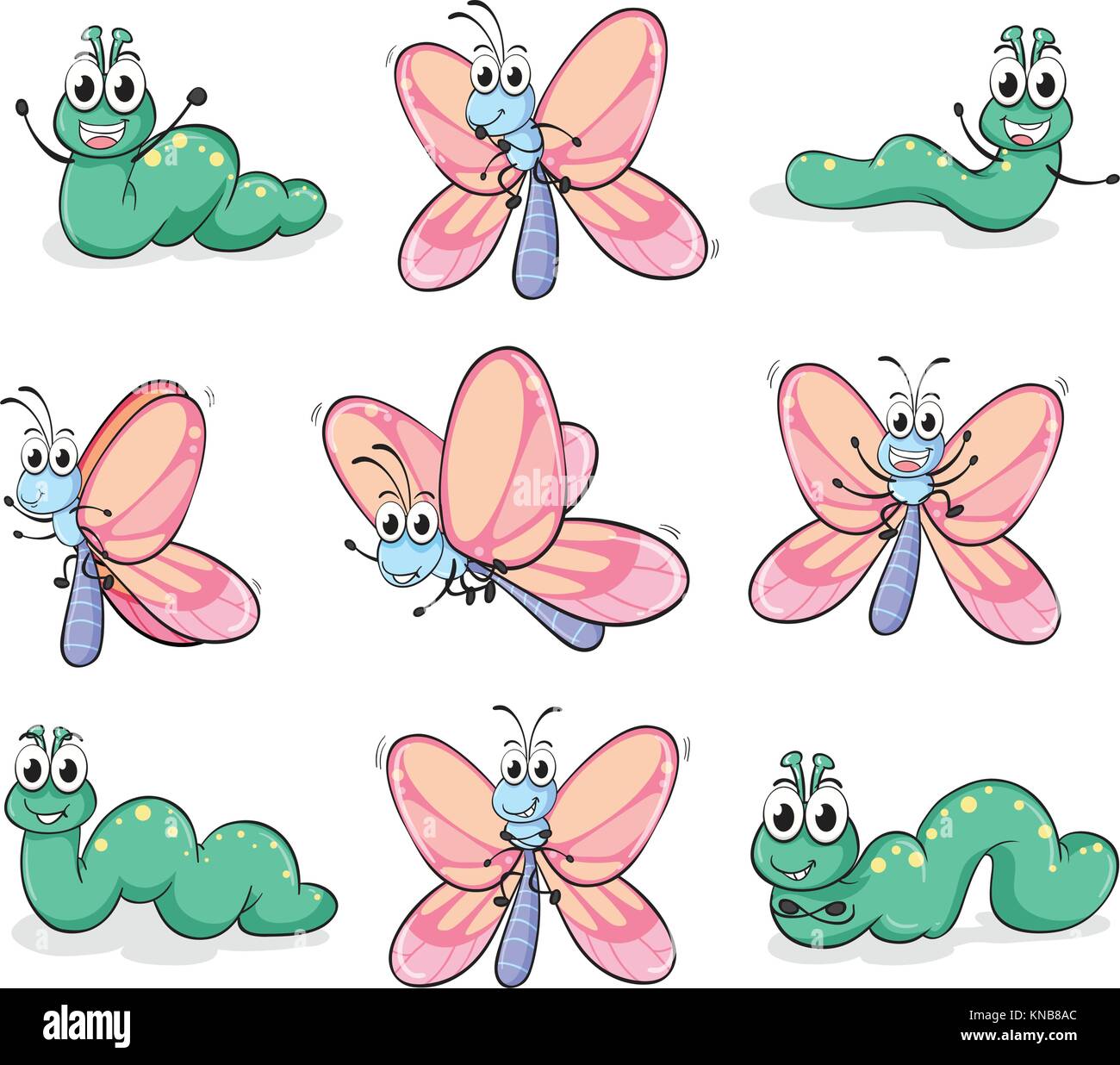 Illustration of a caterpillar and a butterfly on a white background