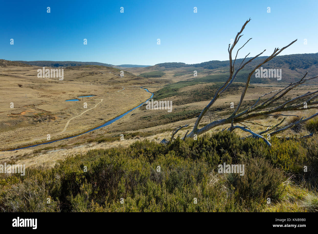 View over the Eucumbene River towards Kiandra in Kosciuszko National Park in the Snowy Mountains of New South Wales. Stock Photo