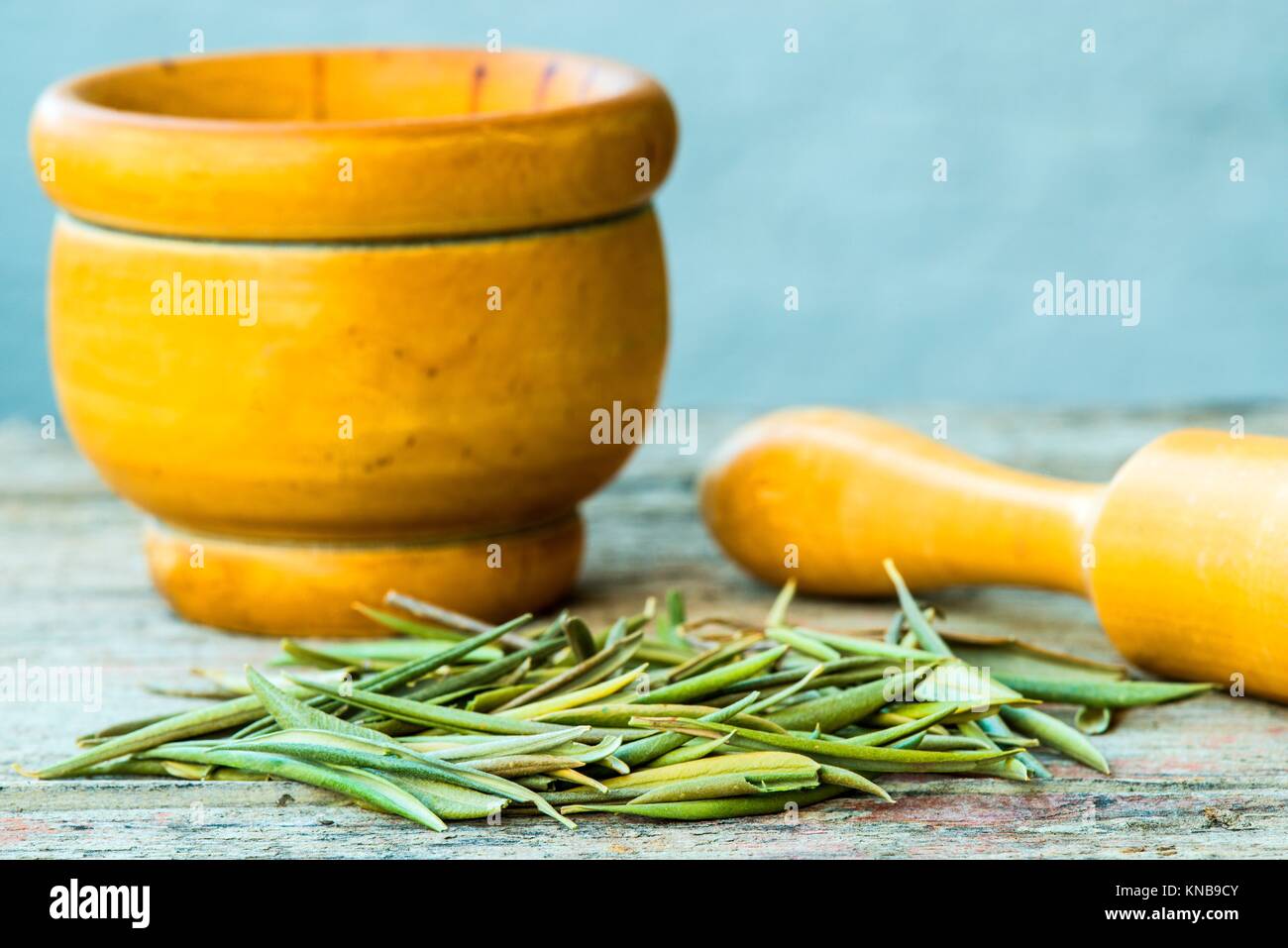 olive tree leaves, drug to lower blood pressure Stock Photo Alamy