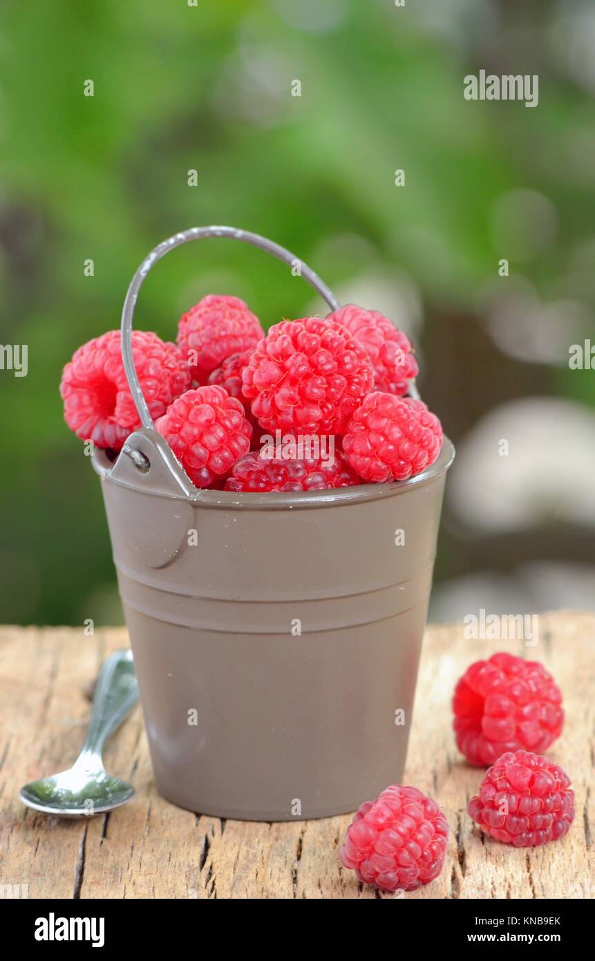 Raspberry shoot hi-res stock photography and images - Alamy