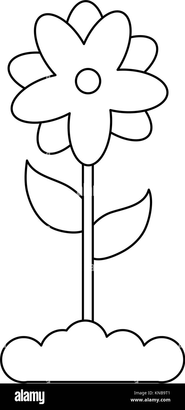 Beautiful flower isolated Stock Vector Image & Art - Alamy