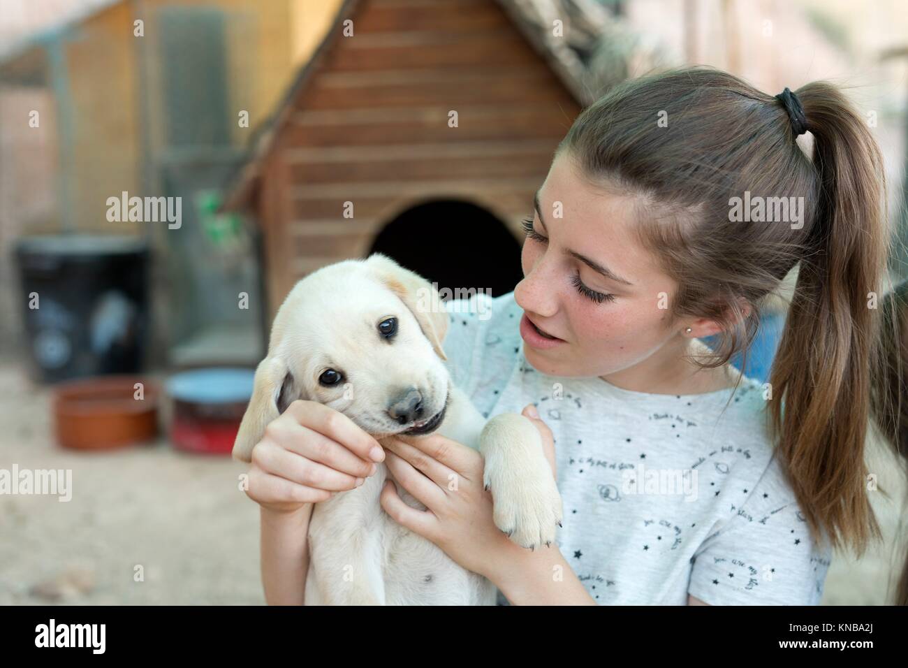 Portrait of a teenage girl with a golden retriever puppy Stock Photo