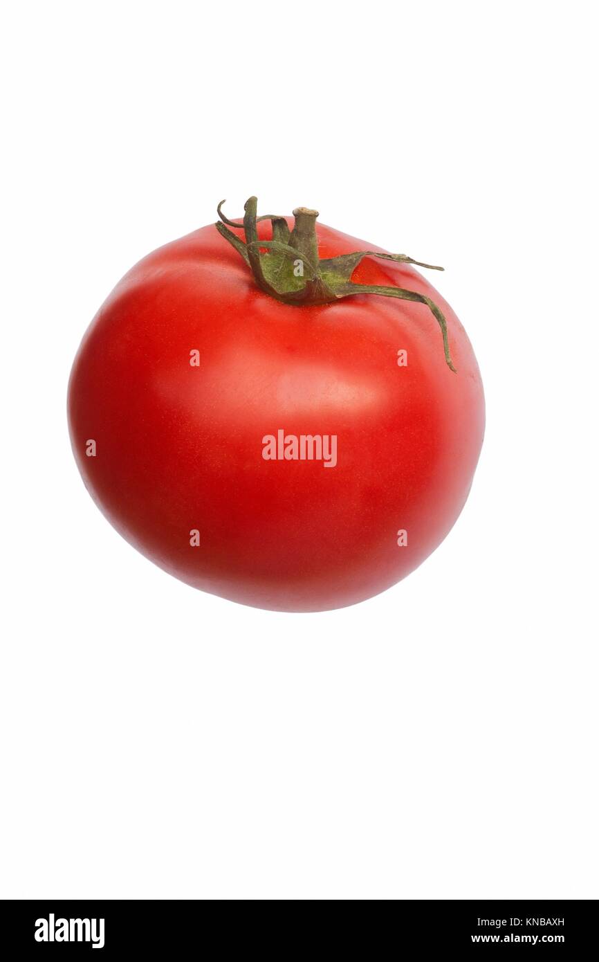 Beefsteak tomato (Solanum lycopersicum). Image of single tomato isolated on white background