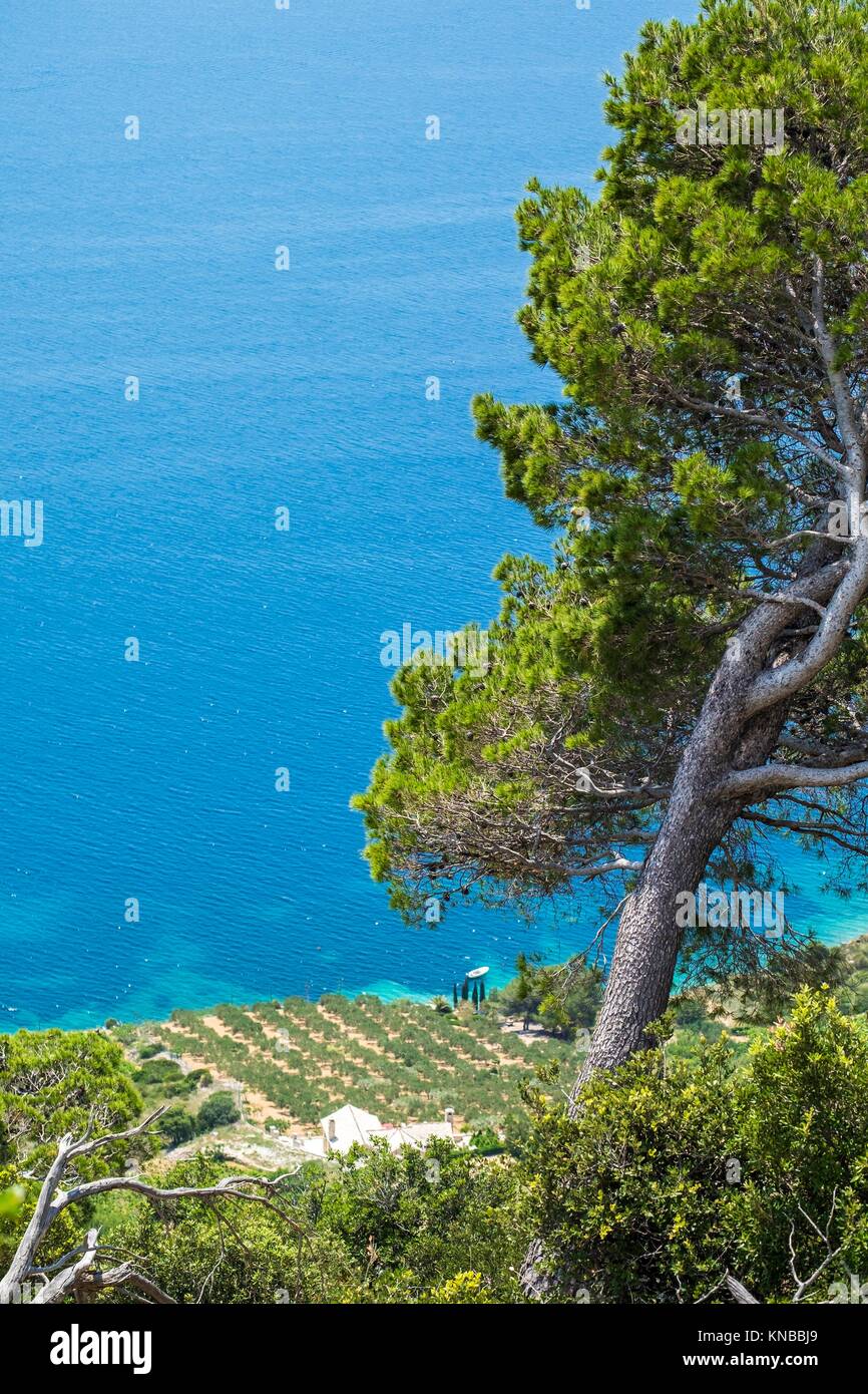 Landscape around Murvica near of Zlatni Rat in Brac Island Croatia ...