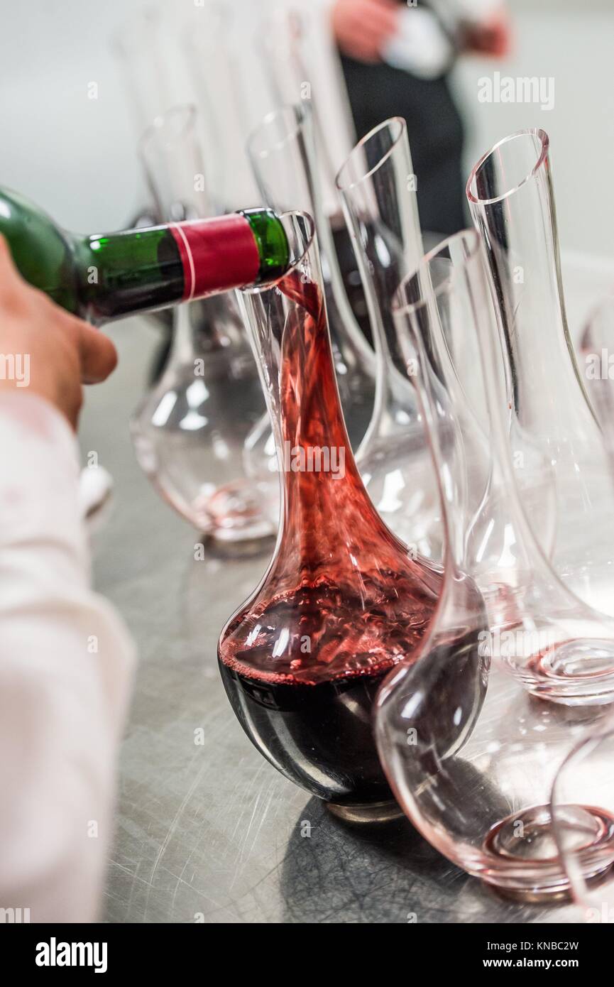 Sommelier at work, pouring wine to decanter while standing near the