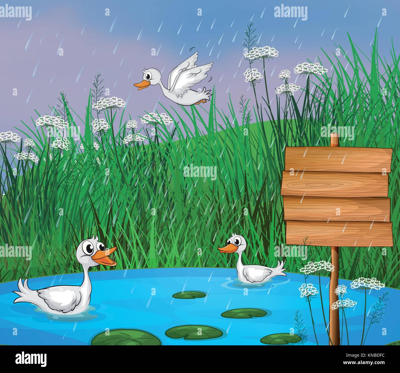 Illustration of ducks playing in the rain Stock Vector Image & Art Alamy