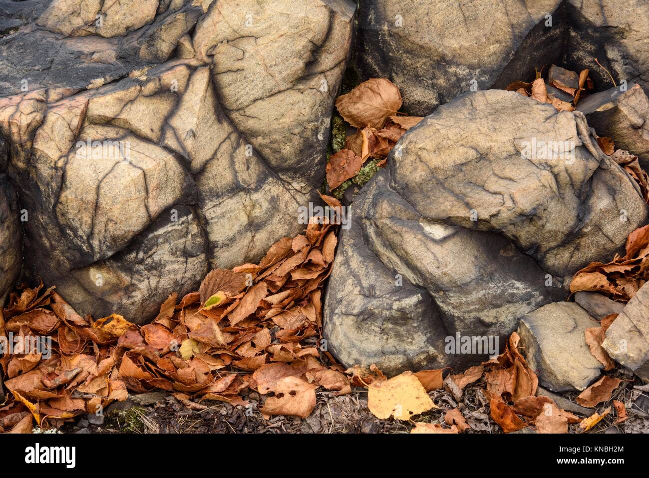 Orange Stained Rocks Stained rocks hi-res stock photography and images - Alamy