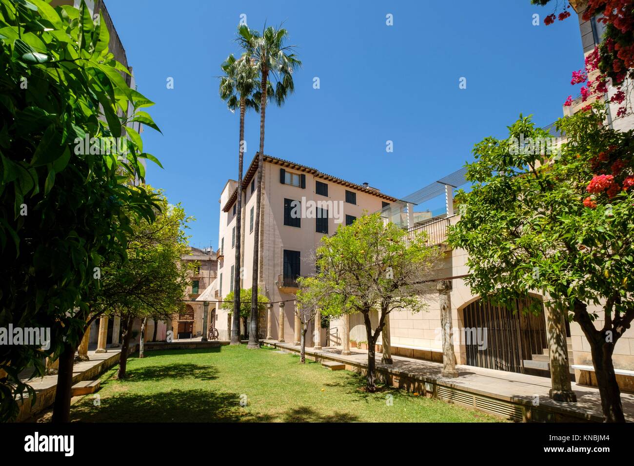 jardin, Centre de Cultura ""SA NOSTRA"", Palma, Mallorca, balearic islands,  spain, europe Stock Photo - Alamy
