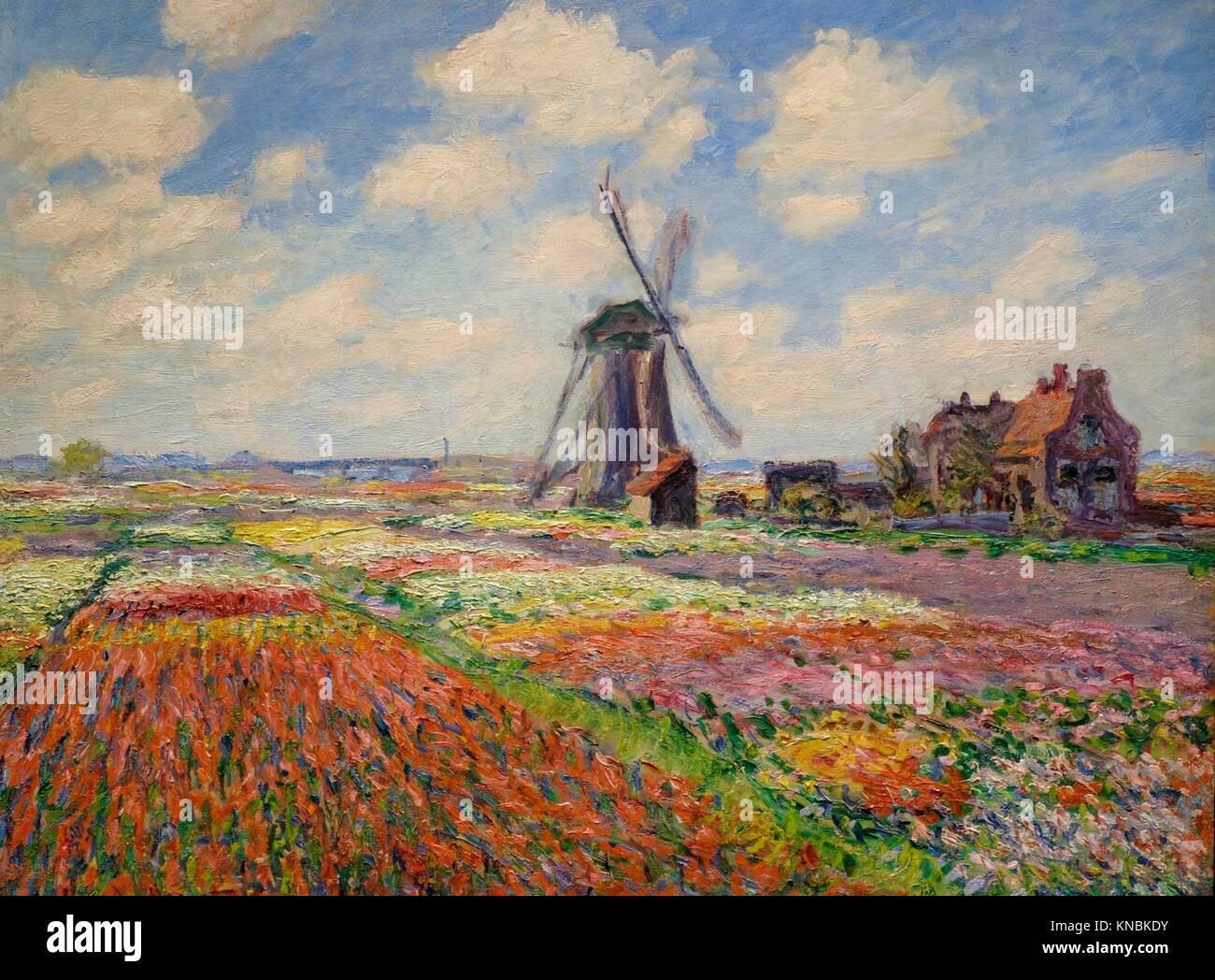 Champs de tulipes en Hollande. 1886. Claude Monet. Orsay Museum. Paris.  France. Europe Stock Photo - Alamy