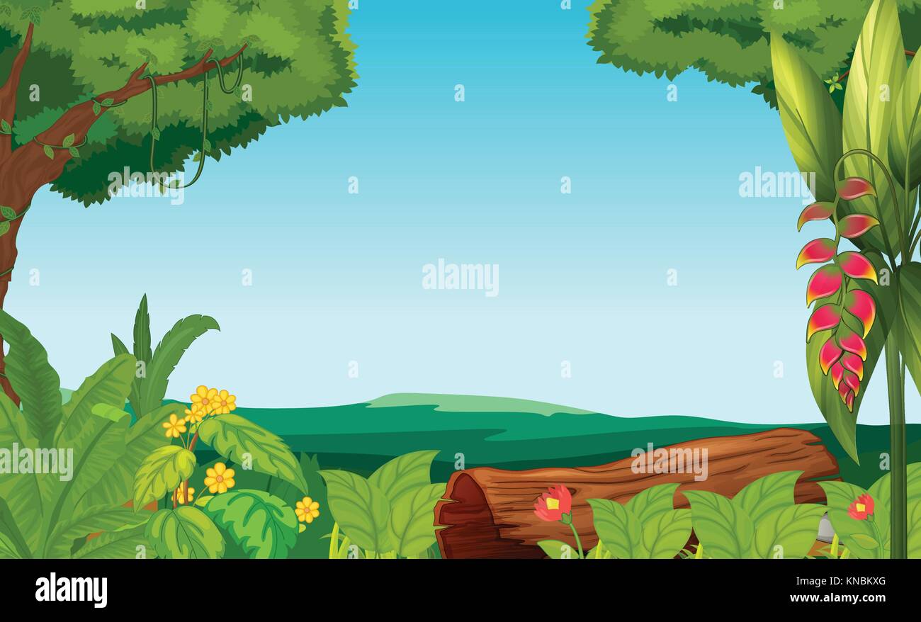 Illustration of the jungle with trees and plants Stock Vector Image ...