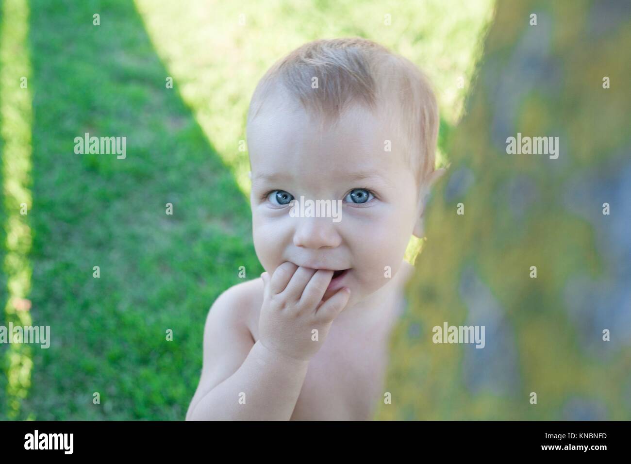 1 year baby boy playing hide-and-seek on swimming pool grass. Baby development concept. Stock Photo
