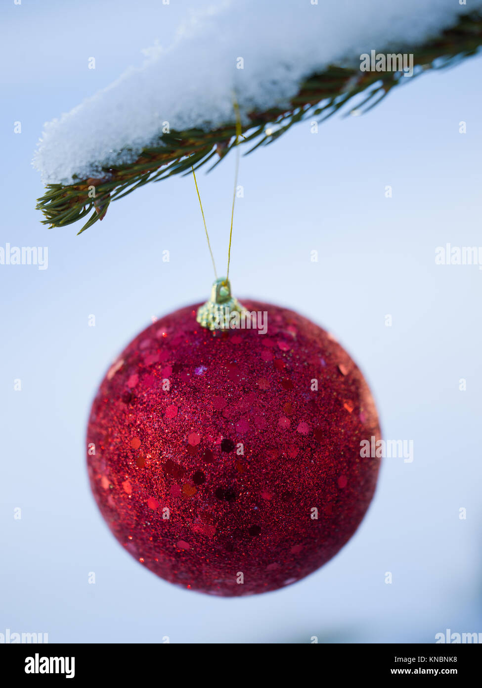 christmas tree red ball decoration with real snow Stock Photo - Alamy