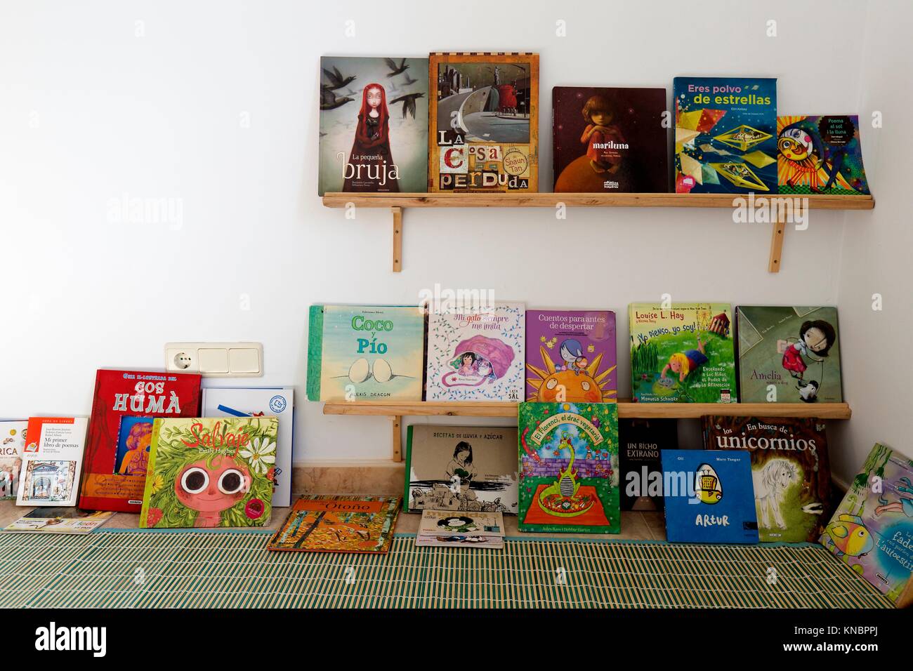 educational books and toys