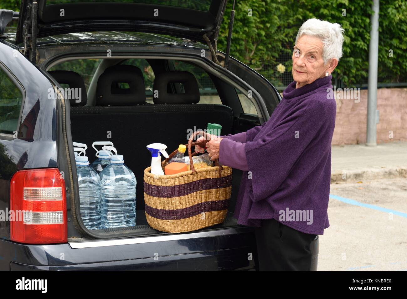 Old woman downloading the car purchase Stock Photo Alamy