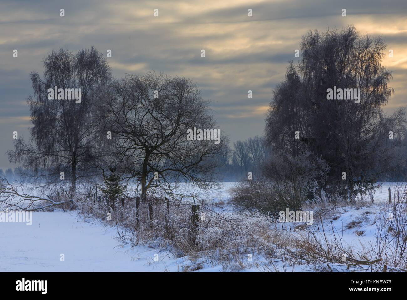 Wintertime sunset over meadows and forest with sun behind cloud,Podlasie Region,Poland,Europe. Stock Photo