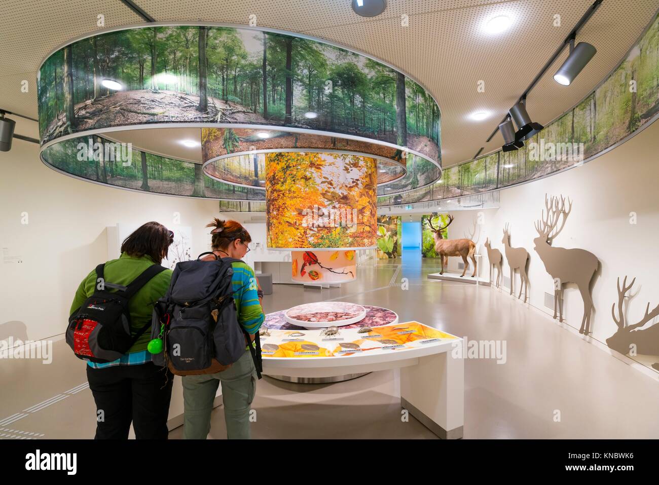 Vogelsang International Center, Eifel National Park, North Eifel