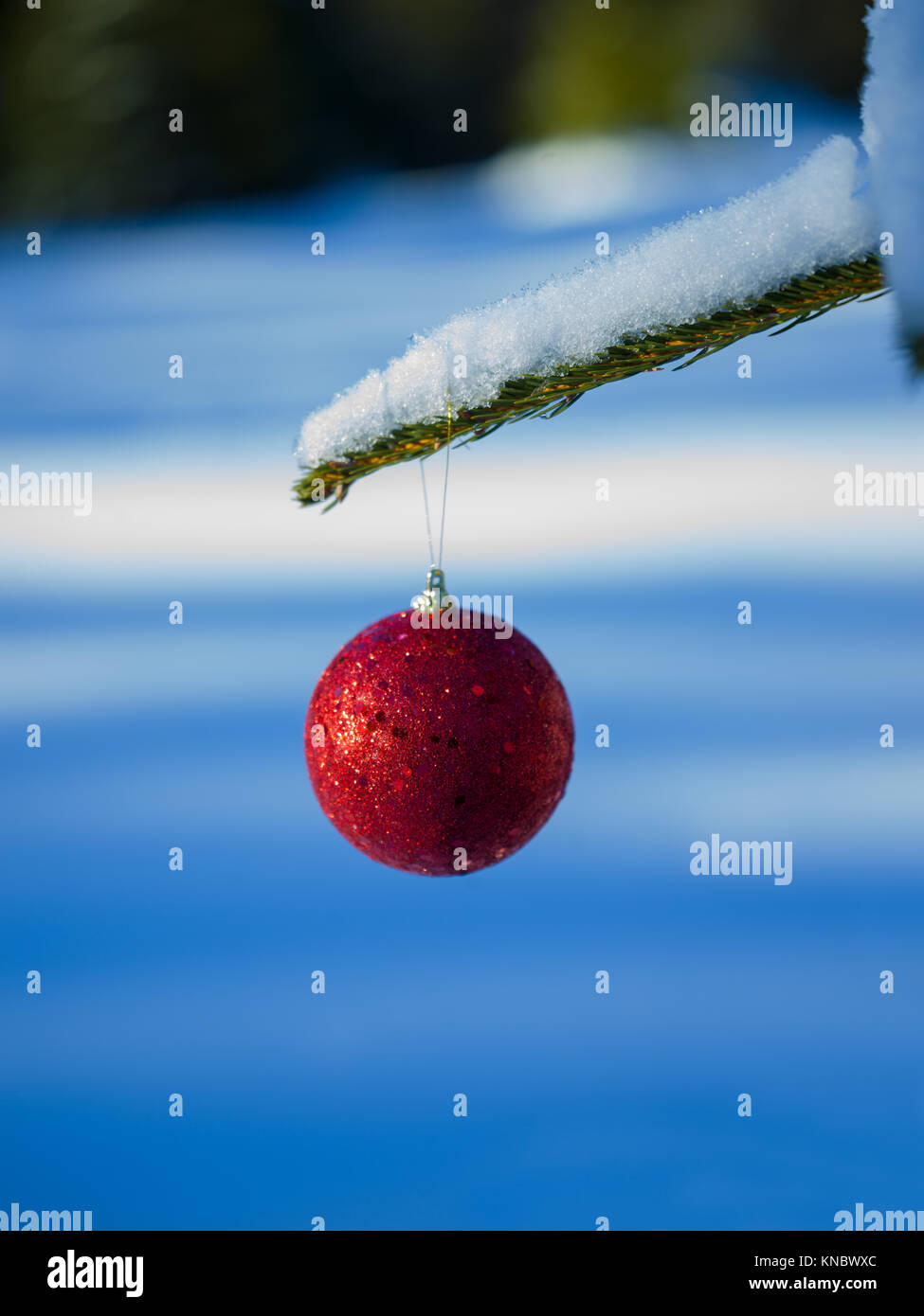 christmas tree red ball decoration with real snow Stock Photo - Alamy