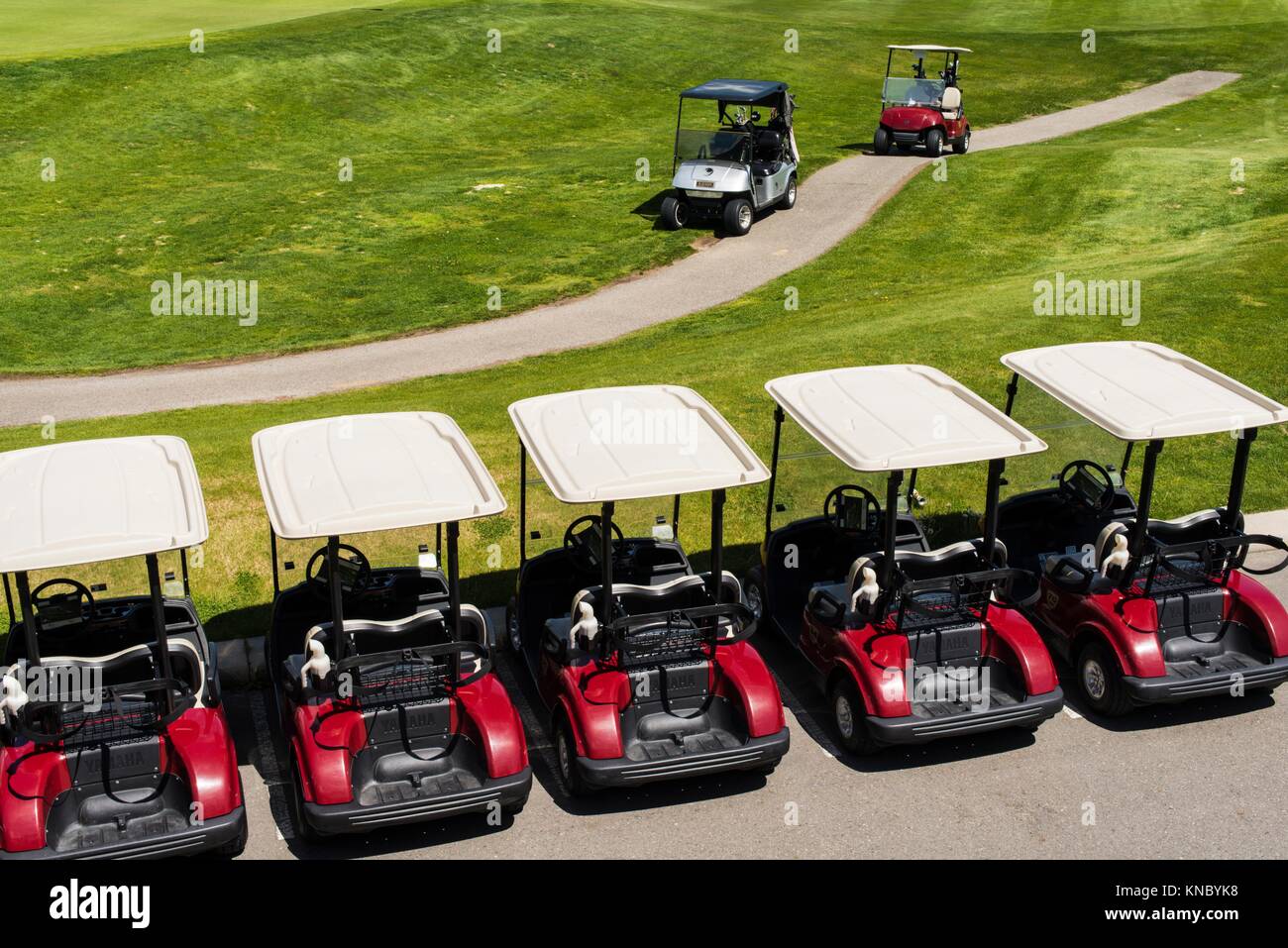 A row of golf carts at the Dunes golf course in Kamloops, BC, Canada Stock Photo Alamy