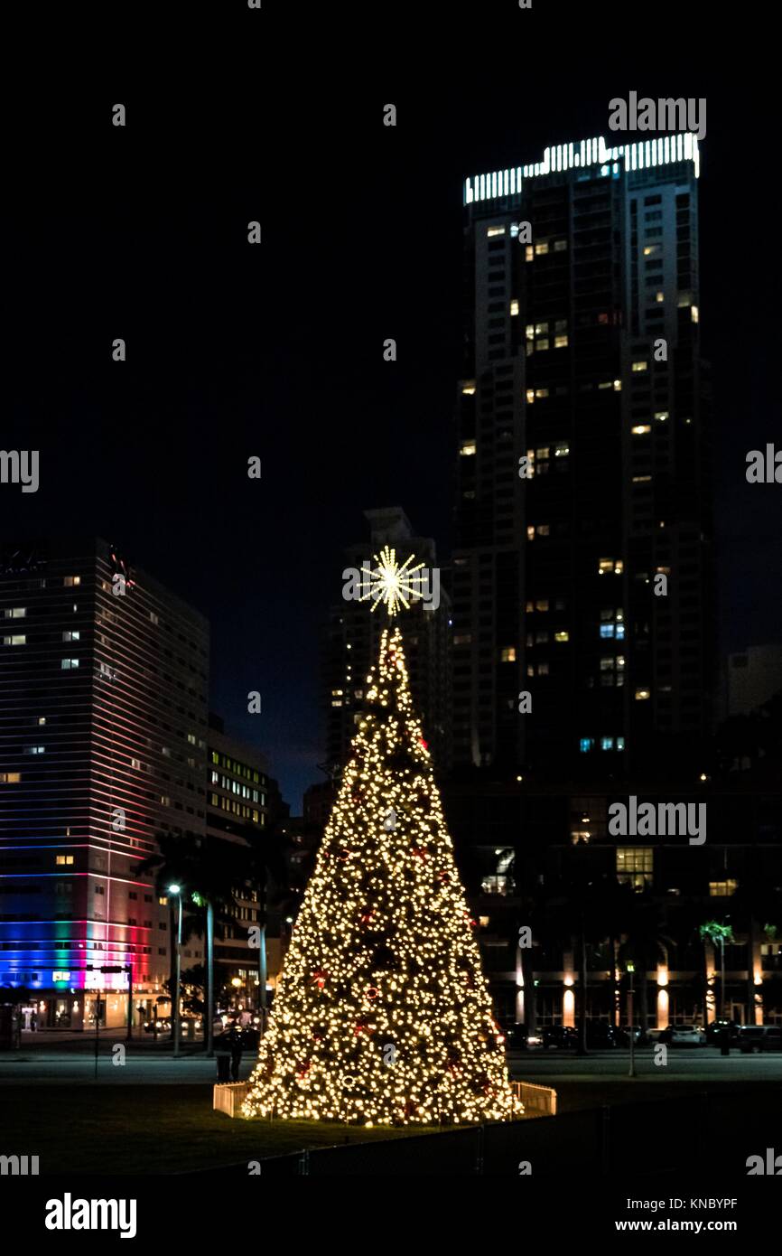 Tree downtown hires stock photography and images Alamy
