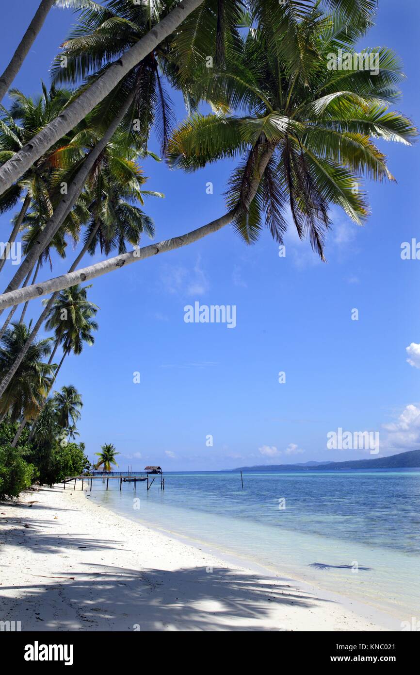 Raja Ampat, Papua, Indonesia, Southeast Asia Stock Photo - Alamy