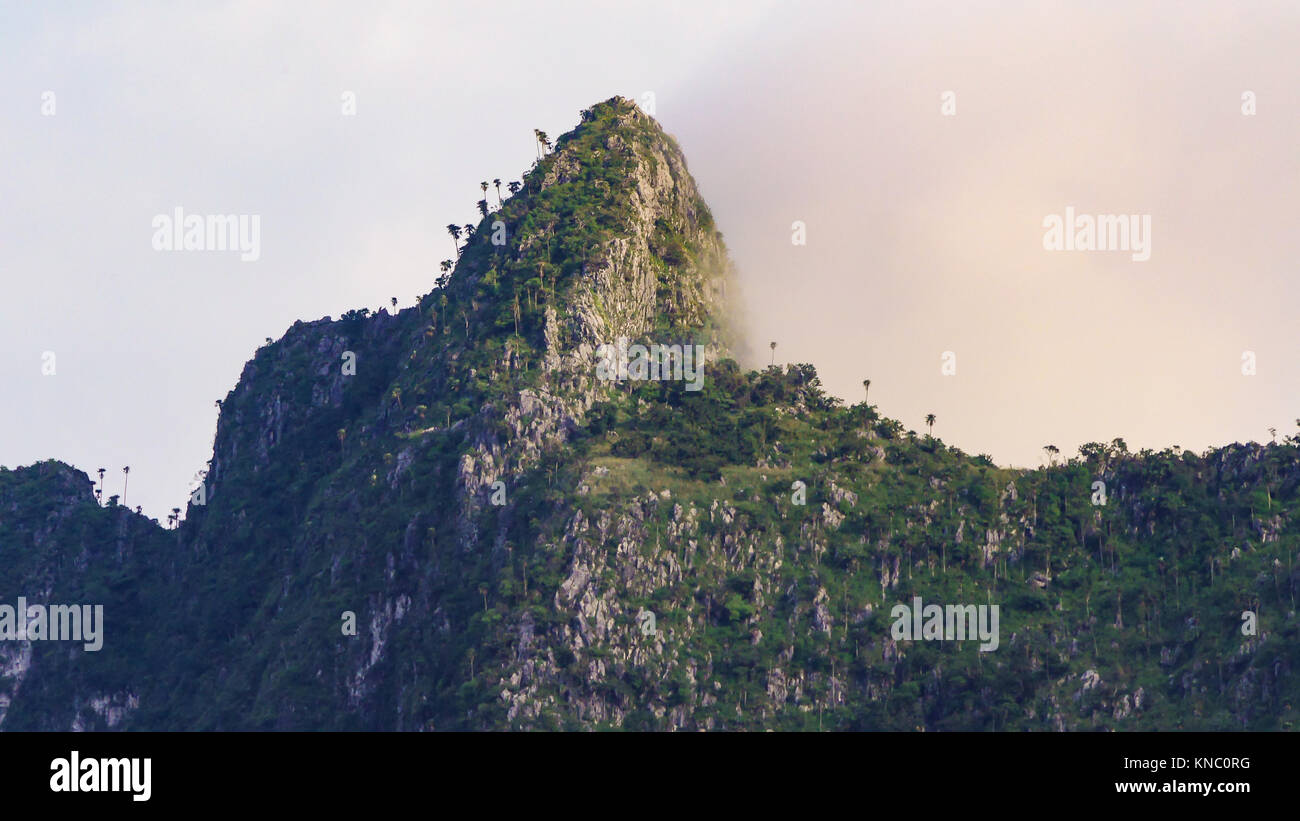 the peak of high mountain coverd with beautiful mist and cloud. Full of ...