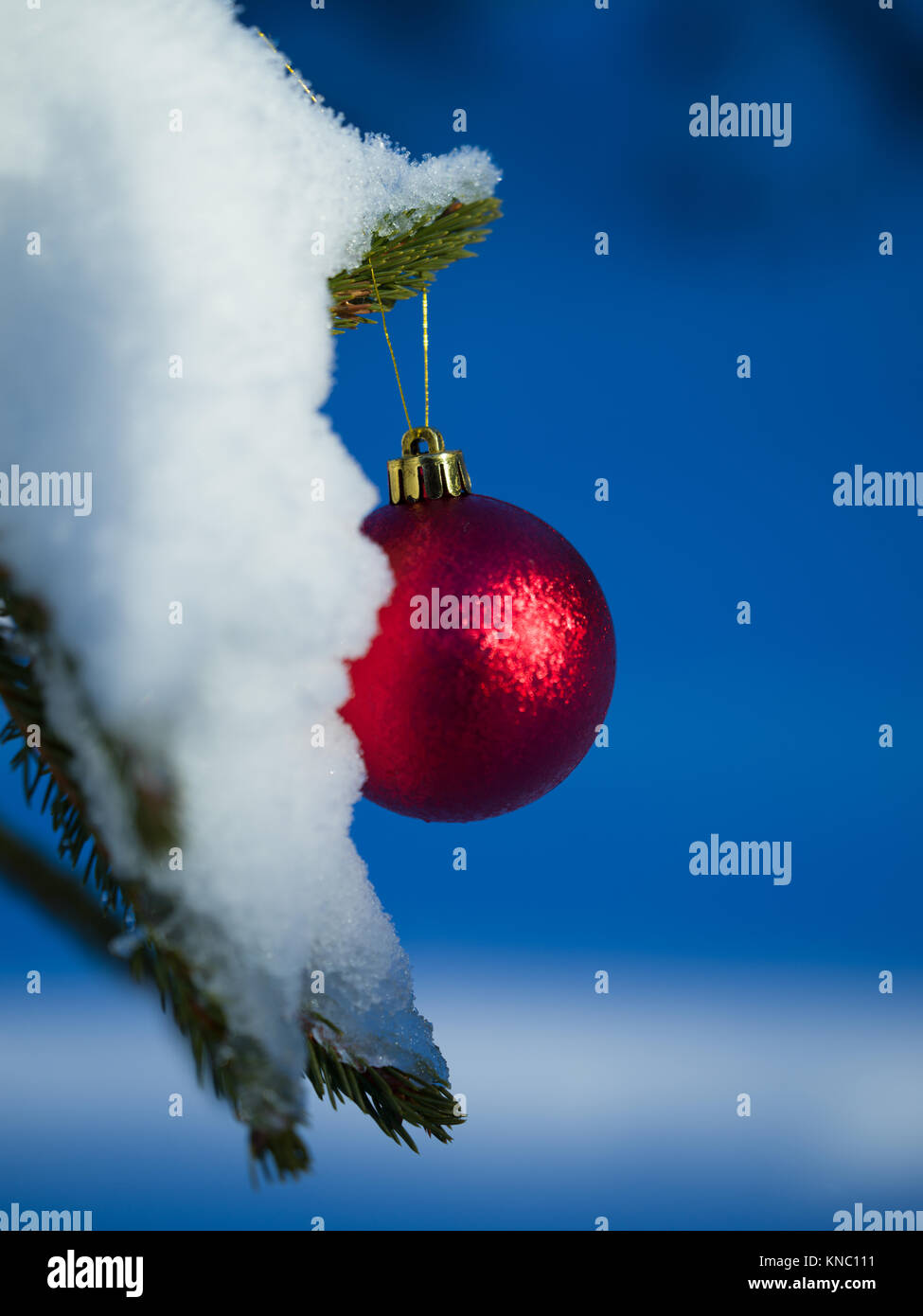 christmas tree red ball decoration with real snow Stock Photo - Alamy