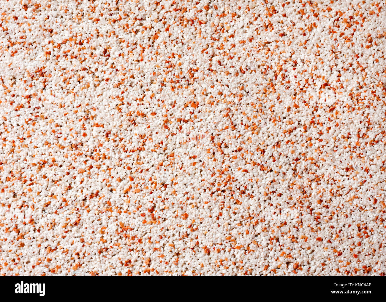 Closeup of  wall, texture background. Background of the texture wall Stock Photo
