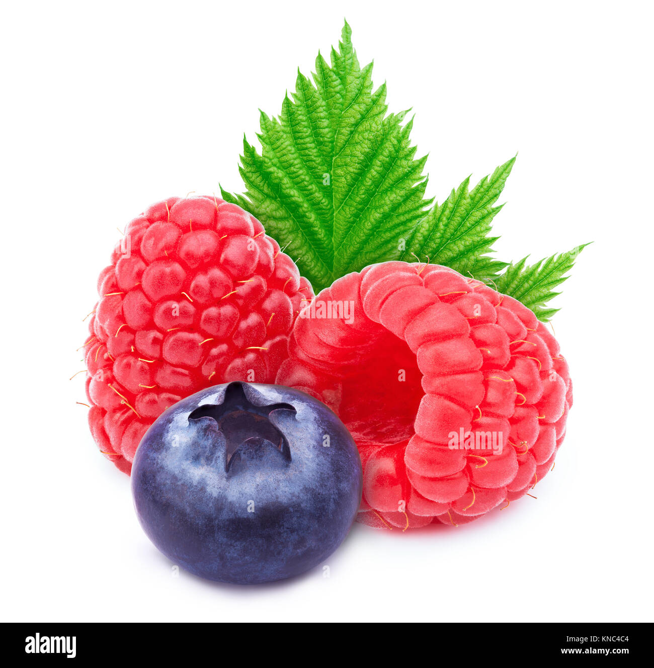 Two raspberries and one blueberry isolated Stock Photo