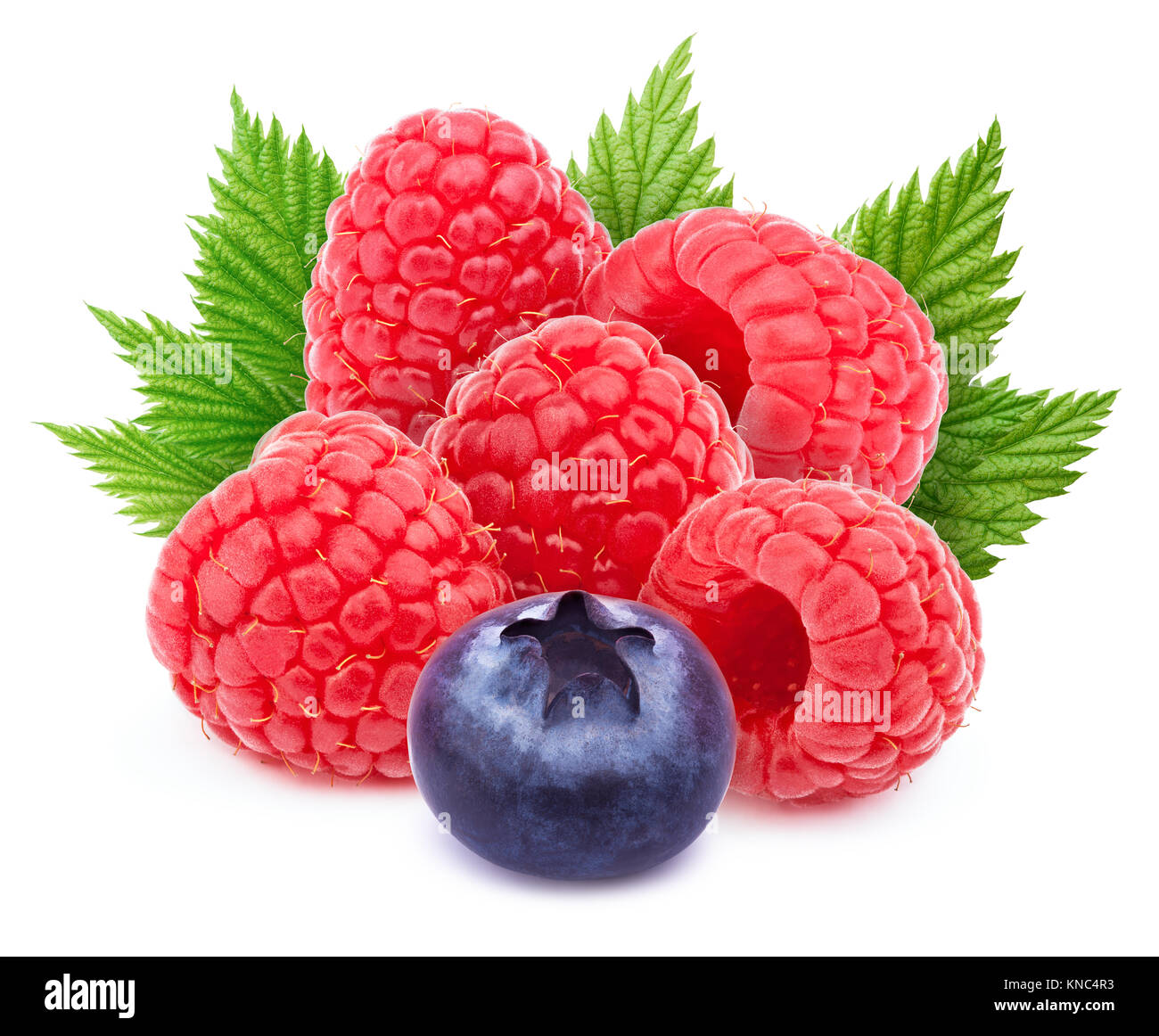 Five raspberries and one blueberry isolated Stock Photo