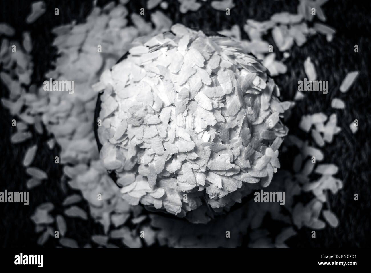 Puffed Rice Fish Puffed up fish hi-res stock photography and images - Alamy
