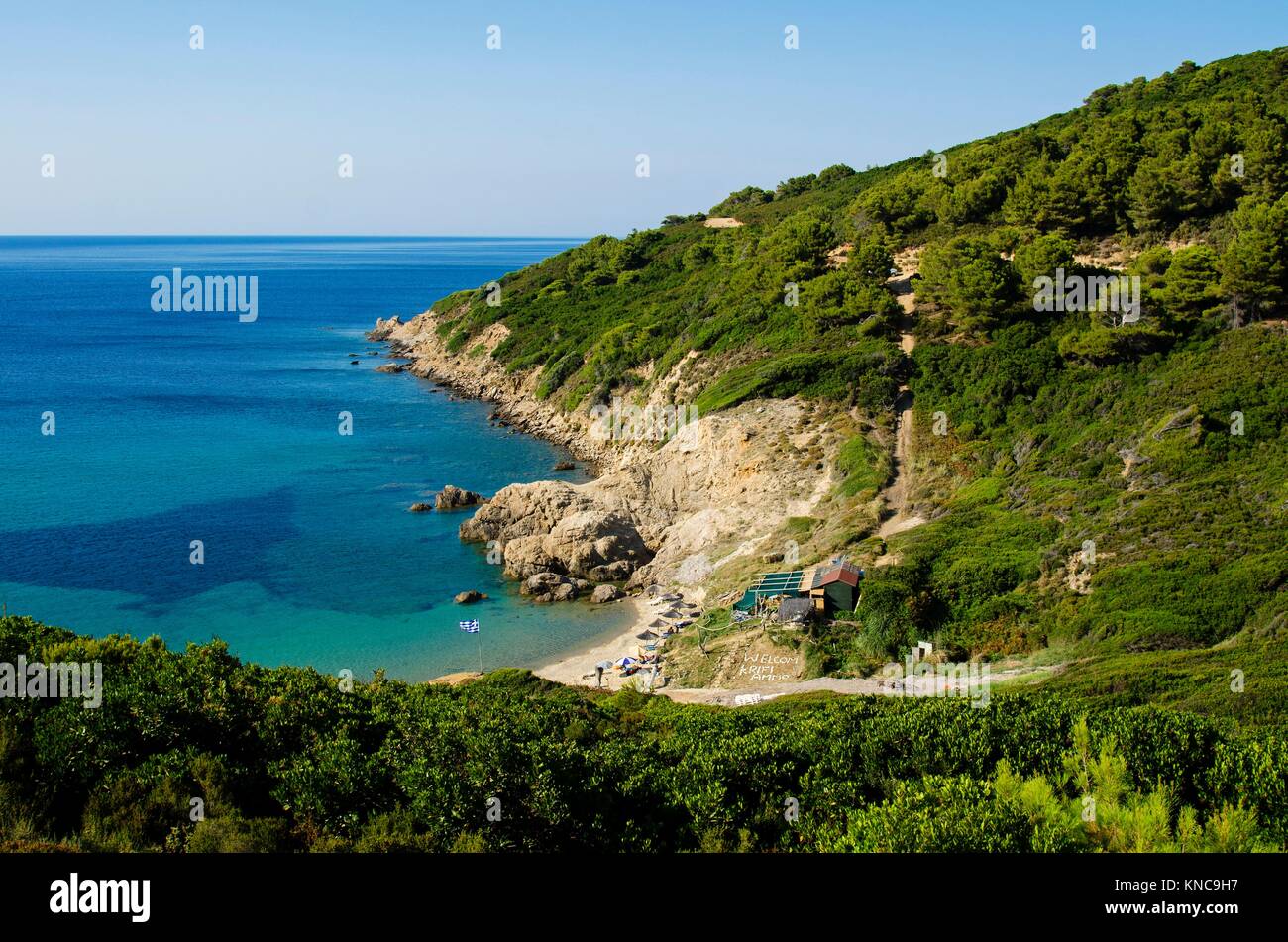 View from the top of the beach of Krifi Ammos on the island of Skiathos Greece, the sea is green and turquoise surrounded by rich vegetation. Stock Photo
