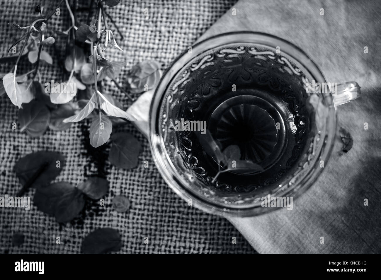 Green tea of holy basil,Ocimum tenuiflorum,tulsi for weight loss and