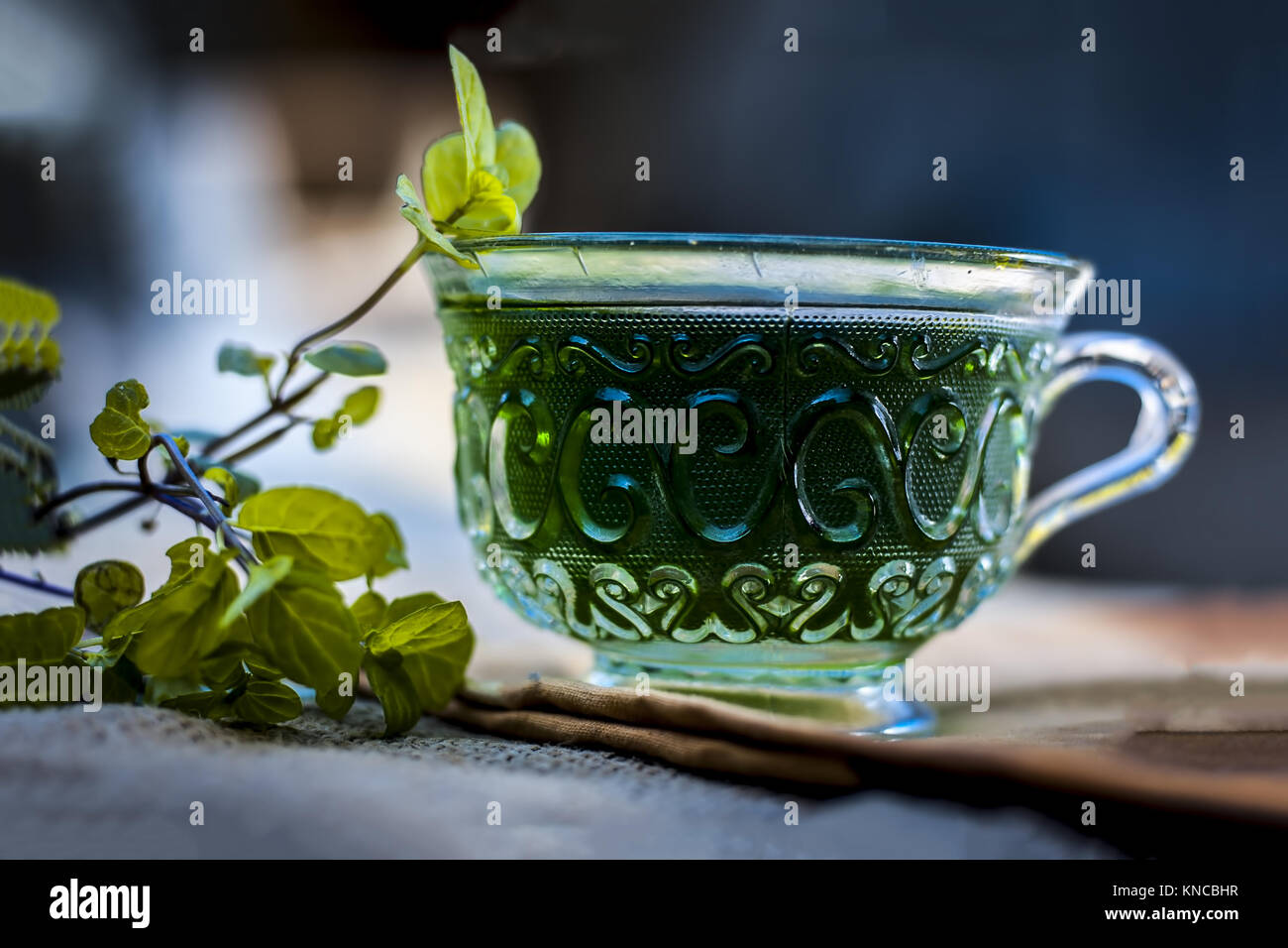 Green tea of holy basil,Ocimum tenuiflorum,tulsi for weight loss and