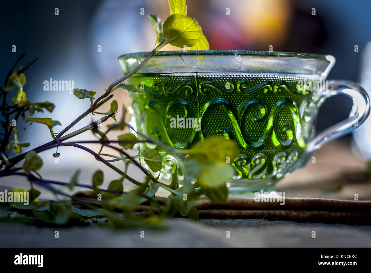 Green tea of holy basil,Ocimum tenuiflorum,tulsi for weight loss and